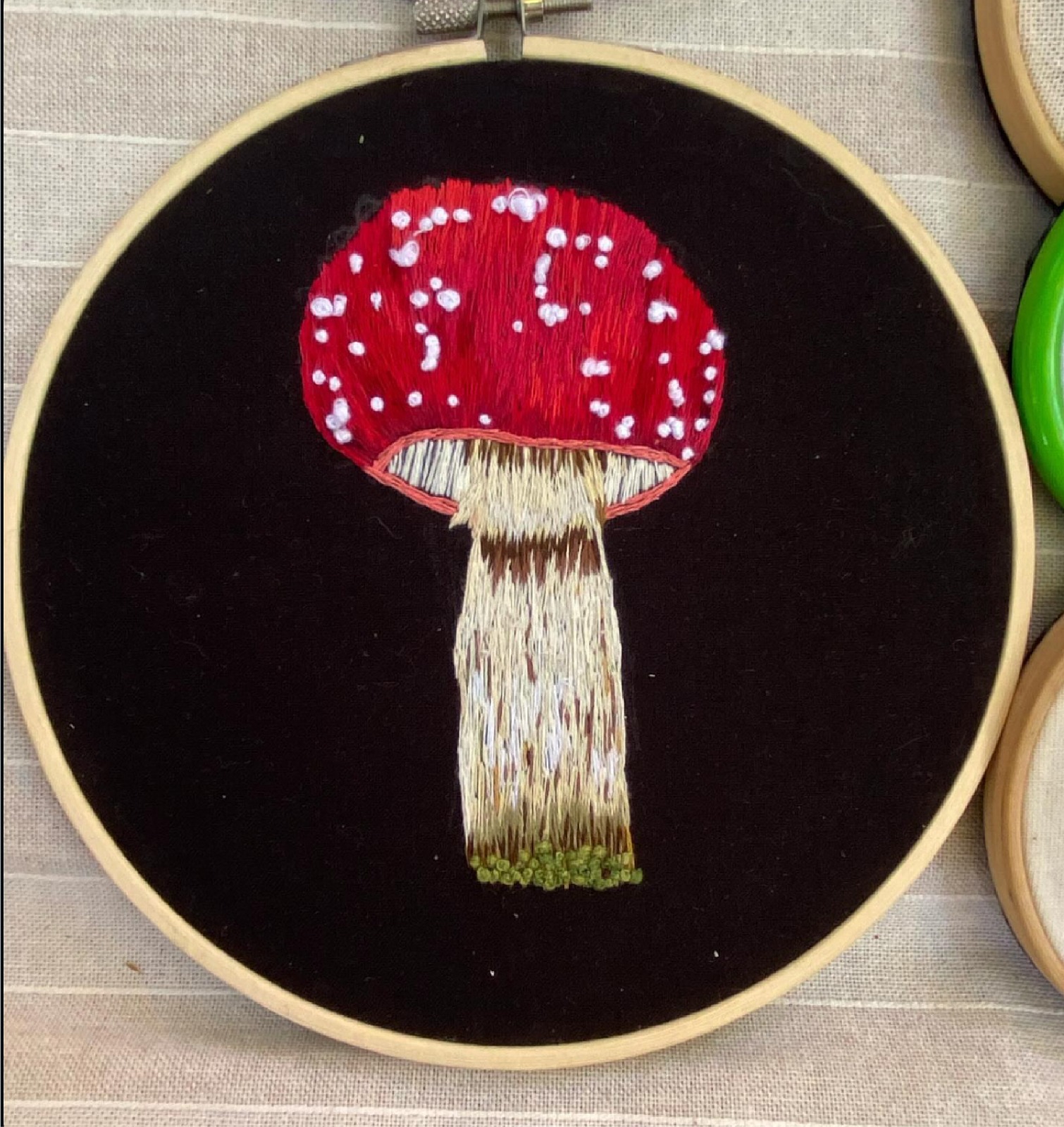 Amanita muscaria