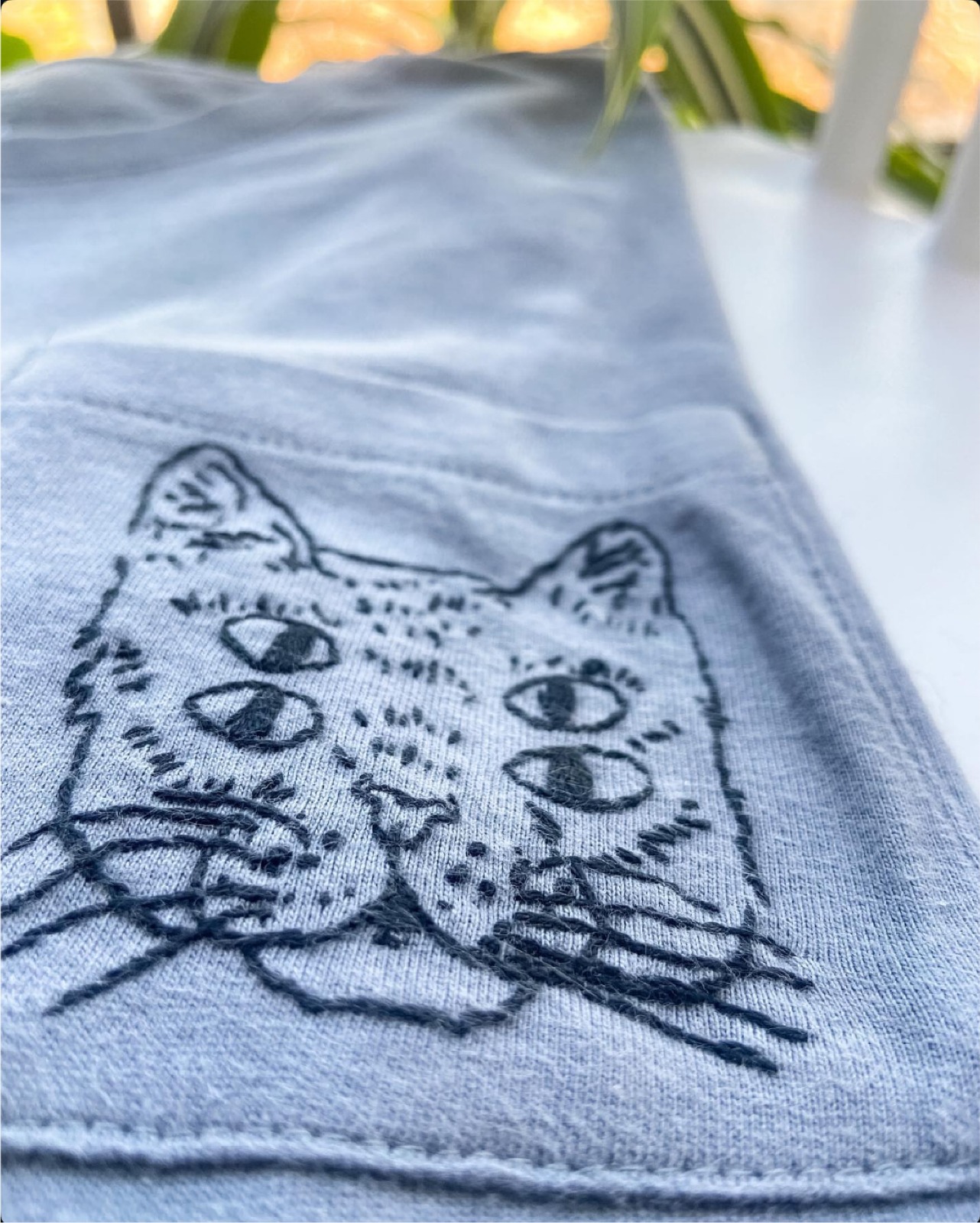 Gato